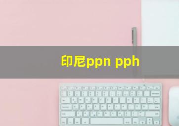 印尼ppn pph